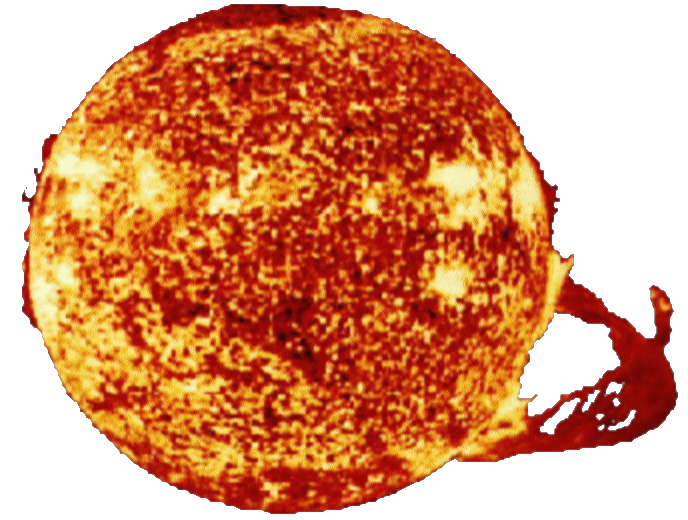 Солнце